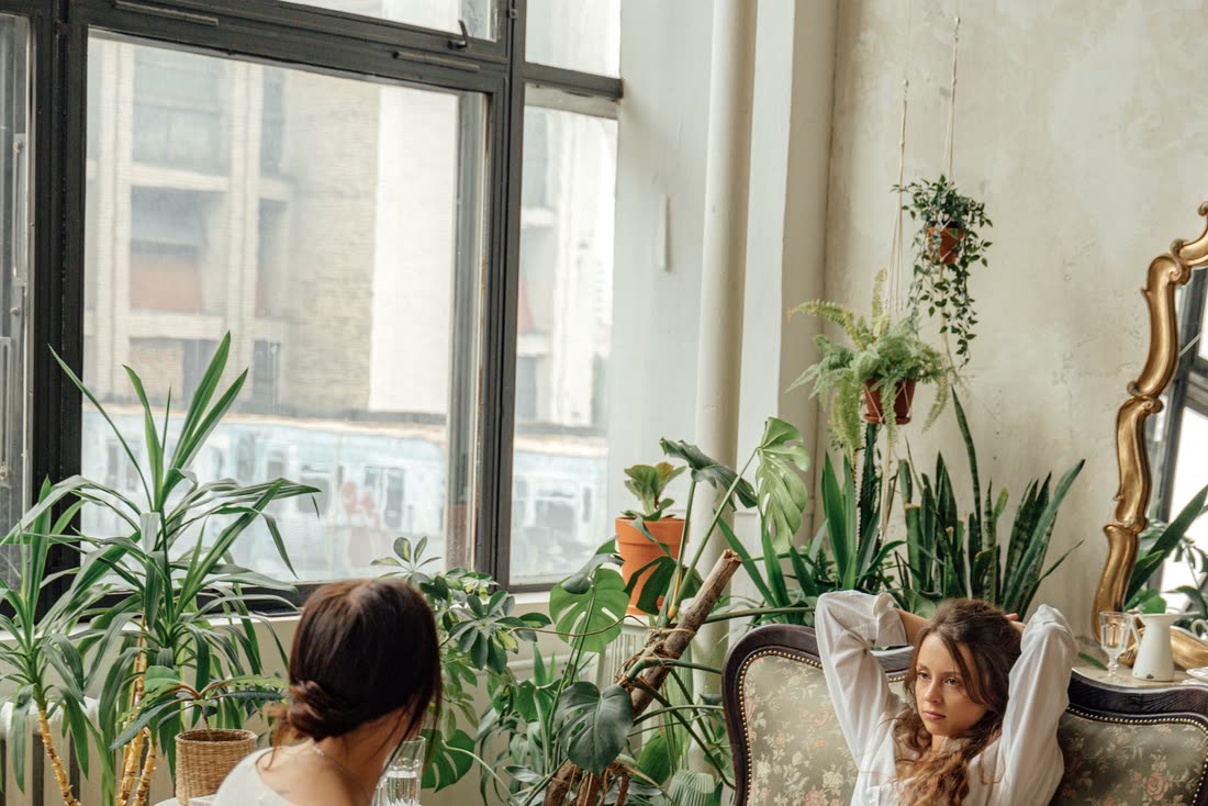 A counsellor and client in conversation in a warm, plant-filled room